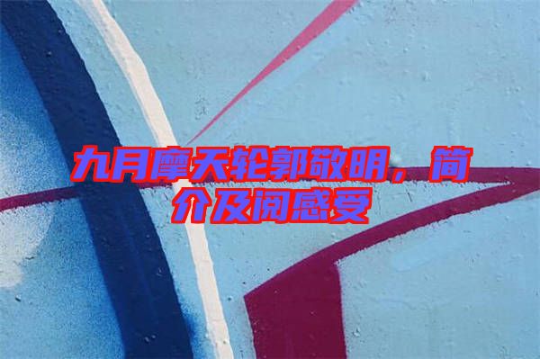 九月摩天輪郭敬明,簡(jiǎn)介及閱感受