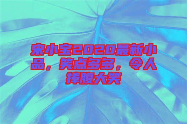 宋小寶2020最新小品，笑點多多，令人捧腹大笑