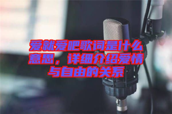 愛就愛吧歌詞是什么意思,詳細介紹愛情與自由的關系