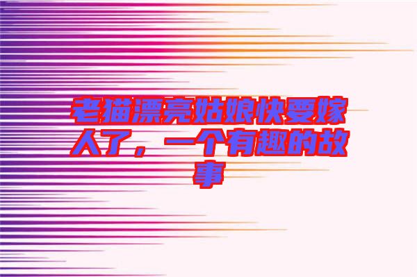 老貓漂亮姑娘快要嫁人了，一個有趣的故事