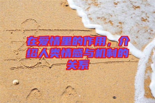 在愛情里的作用，介紹人類情感與機制的關系