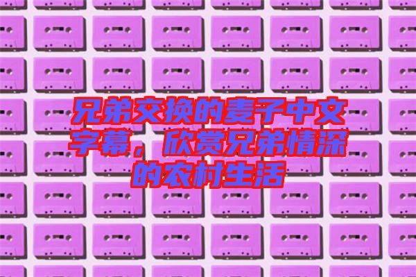 兄弟交換的麥子中文字幕，欣賞兄弟情深的農村生活