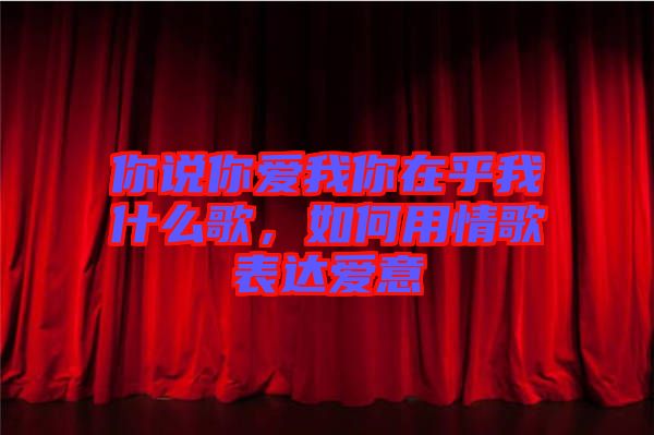 你說你愛我你在乎我什么歌,如何用情歌表達愛意