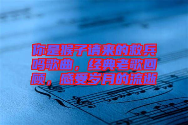 你是猴子請(qǐng)來的救兵嗎歌曲，經(jīng)典老歌回顧，感受歲月的流逝