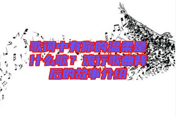 歌詞中有你的溫柔是什么歌?流行歌曲背后的故事介紹