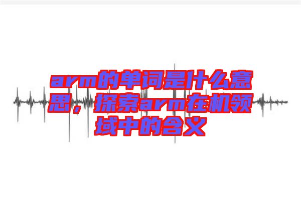 arm的單詞是什么意思,探索arm在機領域中的含義