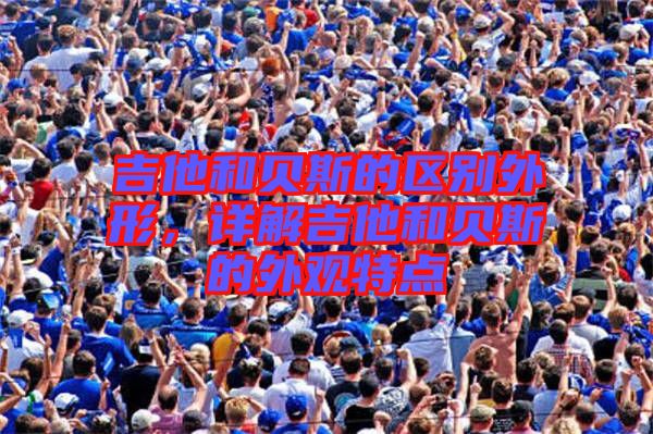 吉他和貝斯的區別外形,詳解吉他和貝斯的外觀特點