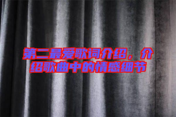 第二最愛歌詞介紹,介紹歌曲中的情感細(xì)節(jié)