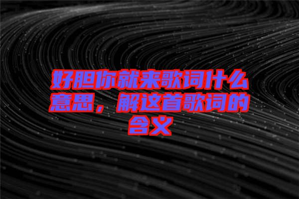 好膽你就來歌詞什么意思,解這首歌詞的含義