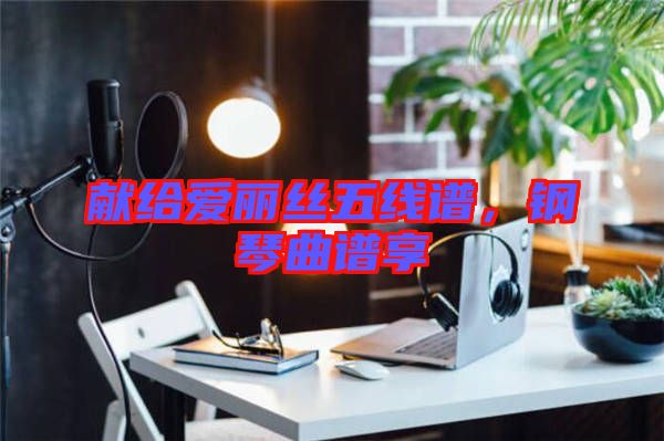 獻(xiàn)給愛(ài)麗絲五線(xiàn)譜,鋼琴曲譜享