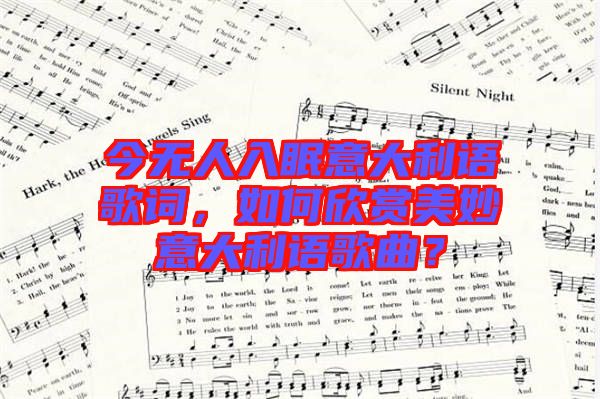 今無人入眠意大利語歌詞，如何欣賞美妙意大利語歌曲？