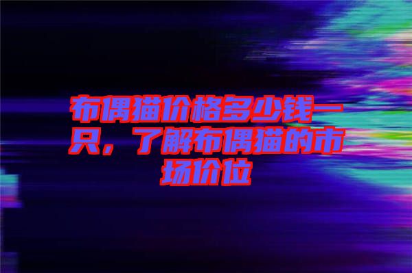布偶貓價(jià)格多少錢(qián)一只，了解布偶貓的市場(chǎng)價(jià)位