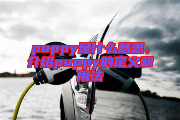 puppy是什么意思,介紹puppy的定義和用法