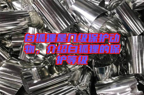 白狐貍是幾級保護動物，介紹白狐貍的保護等級