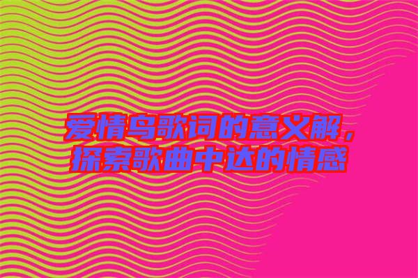 愛情鳥歌詞的意義解，探索歌曲中達的情感