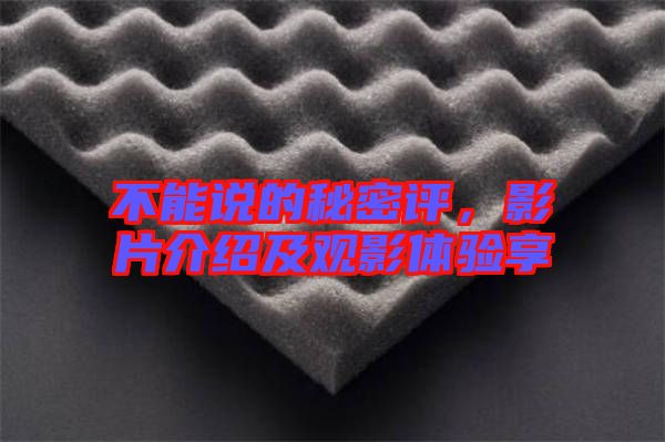不能說的秘密評,影片介紹及觀影體驗享