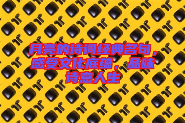 月亮的詩詞經典名句,感受文化底蘊,品味詩意人生