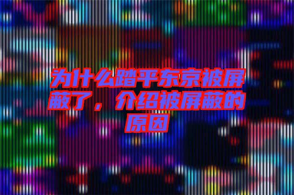 為什么踏平東京被屏蔽了，介紹被屏蔽的原因