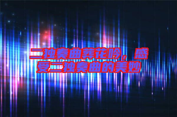 二獨奏曲葬花吟，感受二獨奏曲的美妙