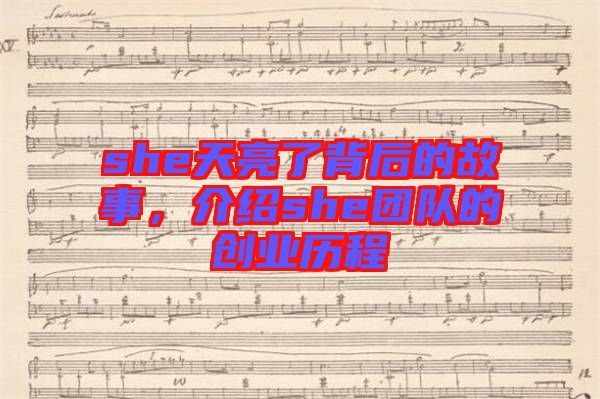 she天亮了背后的故事,介紹she團隊的創業歷程