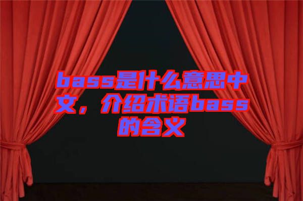 bass是什么意思中文,介紹術語bass的含義