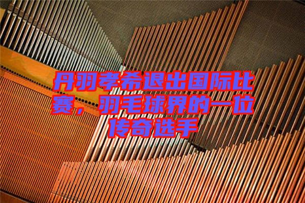 丹羽孝希退出國際比賽,羽毛球界的一位傳奇選手