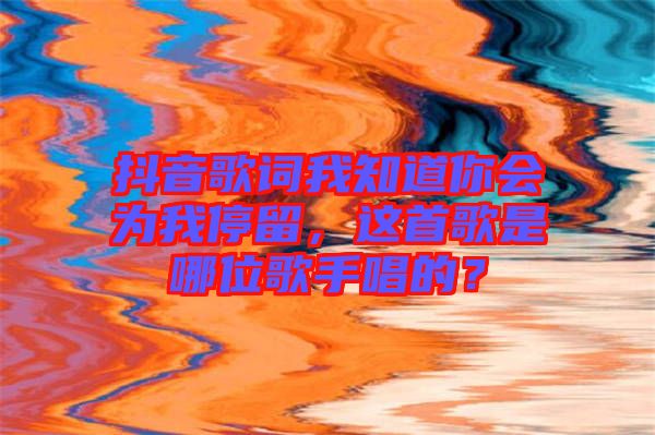 抖音歌詞我知道你會為我停留，這首歌是哪位歌手唱的？