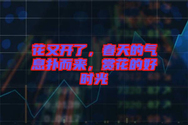 花又開了,春天的氣息撲而來,賞花的好時光