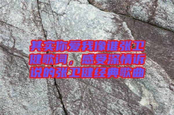 其實(shí)你愛(ài)我像誰(shuí)張衛(wèi)健歌詞，感受深情訴說(shuō)的張衛(wèi)健經(jīng)典歌曲