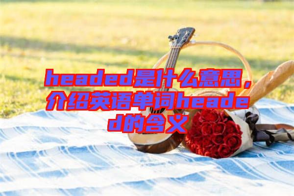 headed是什么意思,介紹英語單詞headed的含義
