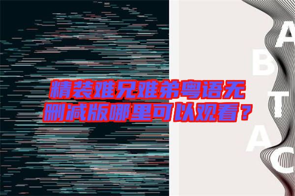 精裝難兄難弟粵語無刪減版哪里可以觀看?