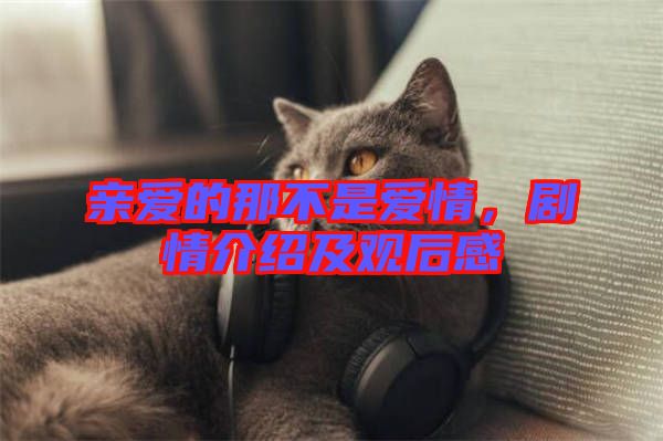 親愛的那不是愛情,劇情介紹及觀后感