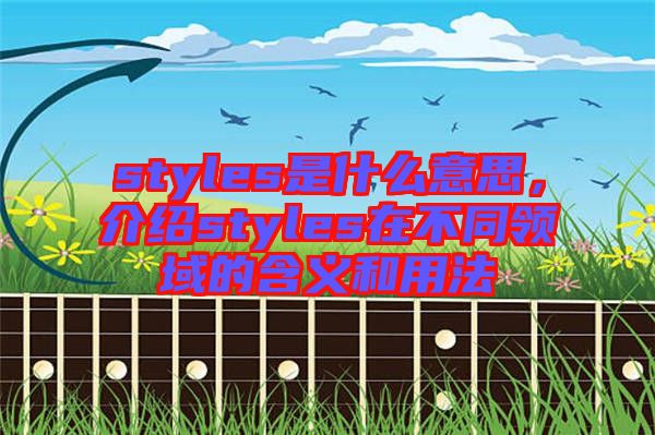 styles是什么意思,介紹styles在不同領域的含義和用法