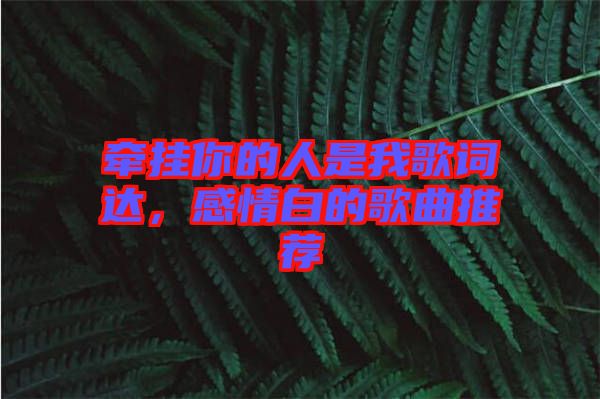 牽掛你的人是我歌詞達(dá)，感情白的歌曲推薦