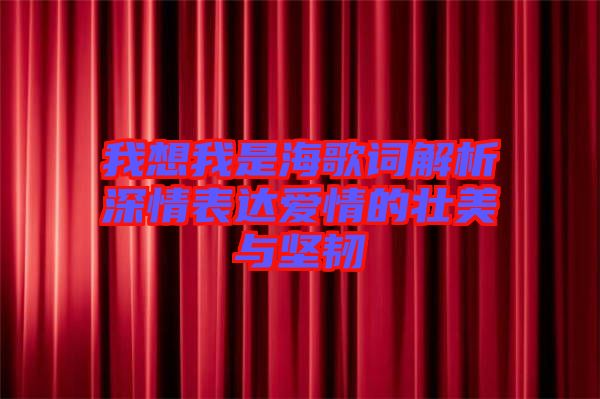 我想我是海歌詞解析深情表達愛情的壯美與堅韌