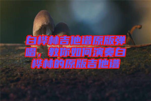 白樺林吉他譜原版彈唱，教你如何演奏白樺林的原版吉他譜