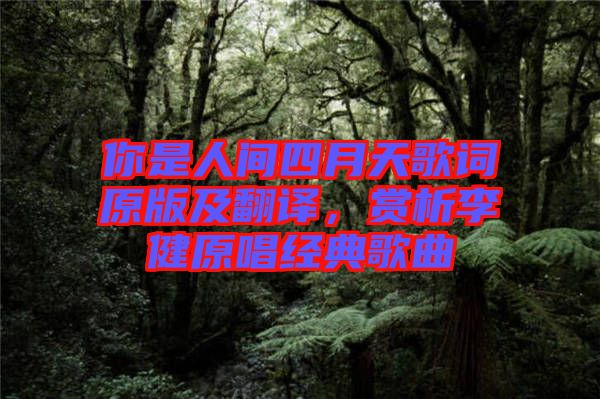 你是人間四月天歌詞原版及翻譯,賞析李健原唱經典歌曲