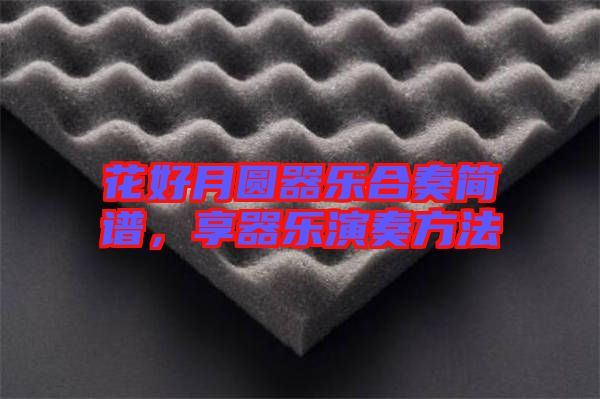 花好月圓器樂合奏簡譜,享器樂演奏方法