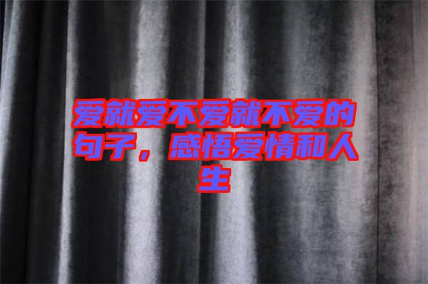 愛就愛不愛就不愛的句子，感悟愛情和人生