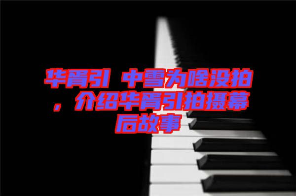 華胥引柸中雪為啥沒(méi)拍,介紹華胥引拍攝幕后故事