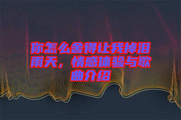 你怎么舍得讓我掉淚雨天,情感體驗與歌曲介紹