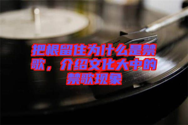 把根留住為什么是禁歌,介紹文化大中的禁歌現(xiàn)象