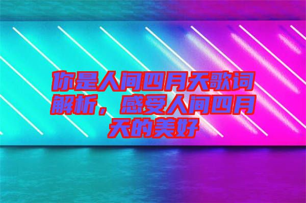 你是人間四月天歌詞解析,感受人間四月天的美好