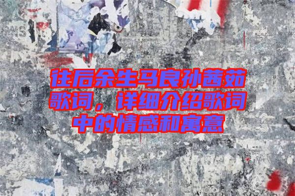 往后余生馬良孫茜茹歌詞,詳細(xì)介紹歌詞中的情感和寓意
