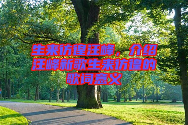 生來彷徨汪峰,介紹汪峰新歌生來彷徨的歌詞意義