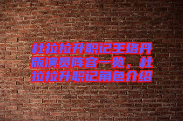 杜拉拉升職記王珞丹版演員陣容一覽,杜拉拉升職記角色介紹