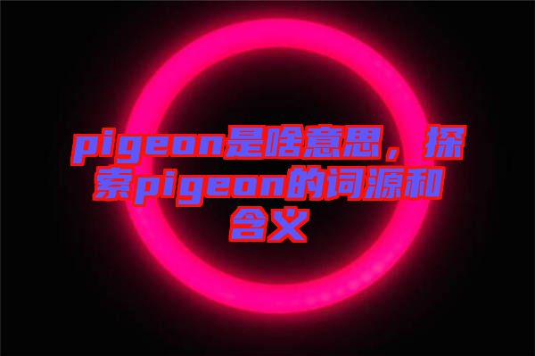 pigeon是啥意思,探索pigeon的詞源和含義