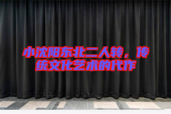 小沈陽東北二人轉，傳統文化藝術的代作