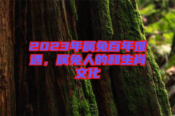 2023年屬兔百年難遇,屬兔人的和生肖文化