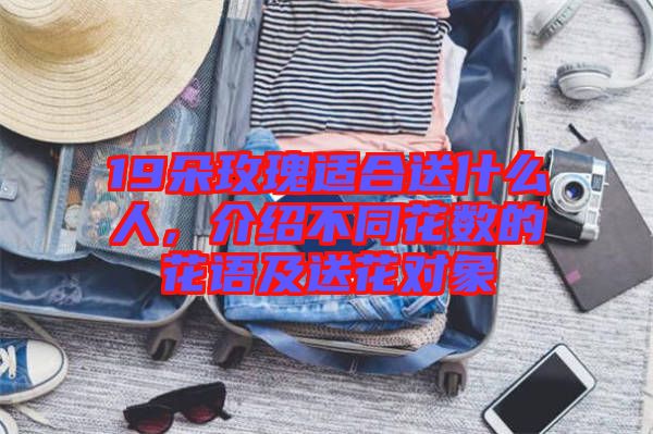 19朵玫瑰適合送什么人，介紹不同花數(shù)的花語及送花對(duì)象
